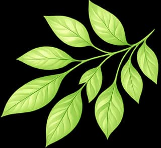Leaf Decoration Right