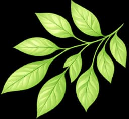 Leaf Decoration