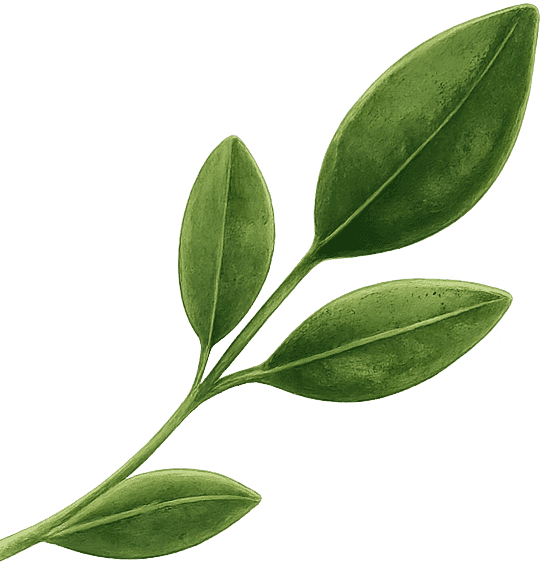 Decorative Leaf